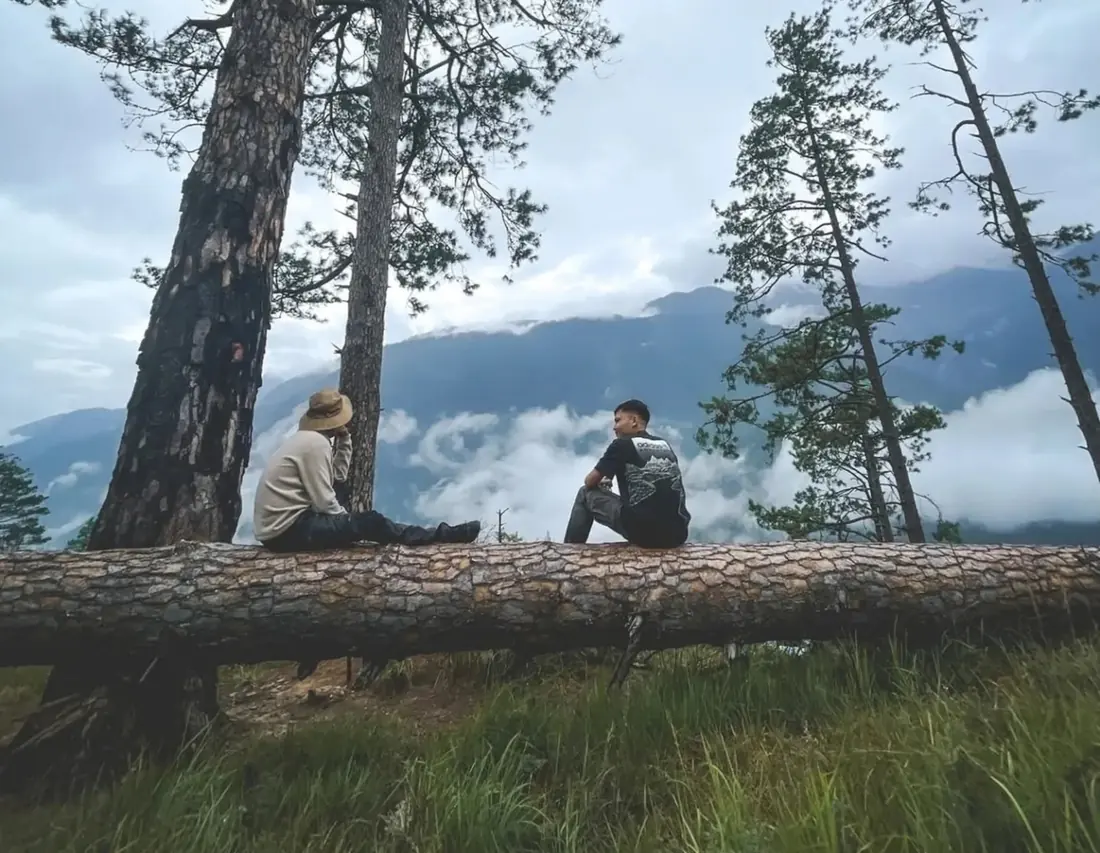 Two travellers on a fallen pine above the clouds in Dong