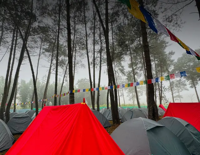 Red alpine tent among misty pines
